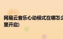 网易云音乐心动模式在哪怎么开启(网易云音乐心动模式在哪里开启)