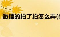 微信的拍了拍怎么弄(微信的拍了拍怎么弄h)