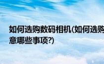 如何选购数码相机(如何选购数码相机或摄像机,选购时应注意哪些事项?)