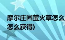 摩尔庄园萤火草怎么获得(摩尔庄园的萤火草怎么获得)