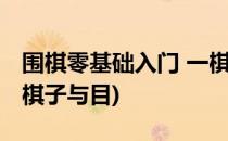 围棋零基础入门 一棋盘棋子目和气的概念(围棋子与目)