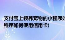 支付宝上领养宠物的小程序如何使用(支付宝上领养宠物的小程序如何使用信用卡)