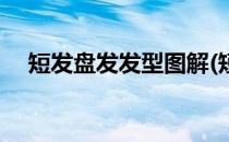 短发盘发发型图解(短发盘发发型图解男)