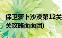 保卫萝卜沙漠第12关攻略(保卫萝卜沙漠第12关攻略面面团)