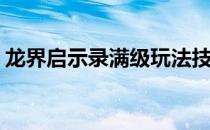 龙界启示录满级玩法技巧(龙界启示录最新版)