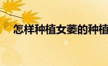 怎样种植女萎的种植方法(怎样种植姑娘)