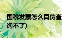 国税发票怎么真伪查询(国税发票怎么真伪查询不了)