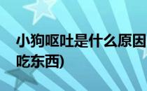 小狗呕吐是什么原因(小狗呕吐是什么原因不吃东西)
