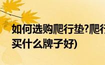 如何选购爬行垫?爬行垫什么牌子好?(爬行垫买什么牌子好)