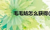 毛毛姑怎么获得(如何获得毛毛花)