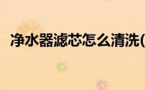 净水器滤芯怎么清洗(净水器滤芯怎么拆卸)