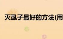 灭虱子最好的方法(用醋灭虱子最好的方法)
