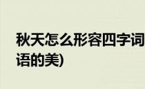 秋天怎么形容四字词语(秋天怎么形容四字词语的美)
