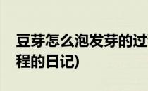 豆芽怎么泡发芽的过程(豆芽怎么泡发芽的过程的日记)