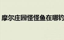摩尔庄园怪怪鱼在哪钓(摩尔庄园在哪里钓鱼)