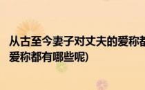 从古至今妻子对丈夫的爱称都有哪些(从古至今妻子对丈夫的爱称都有哪些呢)