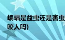 蝙蝠是益虫还是害虫(蝙蝠是益虫还是害虫它咬人吗)