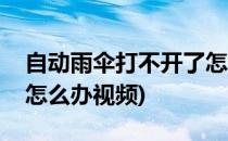 自动雨伞打不开了怎么办(自动雨伞打不开了怎么办视频)