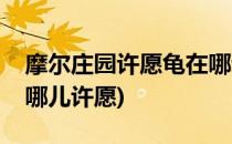 摩尔庄园许愿龟在哪许愿(摩尔庄园许愿龟在哪儿许愿)