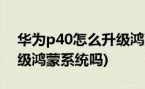 华为p40怎么升级鸿蒙系统(华为p40怎么升级鸿蒙系统吗)