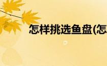 怎样挑选鱼盘(怎样挑选鱼盘好坏)