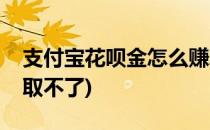 支付宝花呗金怎么赚取(支付宝花呗金怎么赚取不了)
