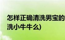 怎样正确清洗男宝的“小牛牛”(男宝宝需要洗小牛牛么)