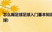 怎么踢足球足球入门基本知识练习踢足球(踢足球基础如何踢球)