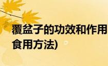 覆盆子的功效和作用(覆盆子的功效和作用及食用方法)