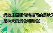 蚂蚁庄园哪句诗描写的是秋天的景色(蚂蚁庄园哪句诗描写的是秋天的景色和颜色)