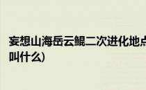 妄想山海岳云鲲二次进化地点(妄想山海岳云鲲二次进化地点叫什么)