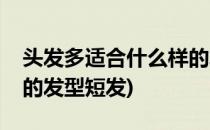 头发多适合什么样的发型(头发多适合什么样的发型短发)