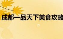 成都一品天下美食攻略(成都一品天下美食街)