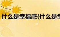 什么是幸福感(什么是幸福感如何获取幸福感)