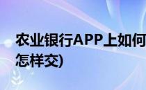 农业银行APP上如何缴纳水费(农业银行水费怎样交)