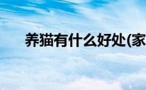 养猫有什么好处(家里养猫有什么好处)