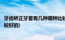 牙齿矫正牙套有几种哪种比较好(牙齿矫正牙套有几种哪种比较好的)