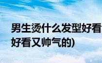 男生烫什么发型好看又帅气(男生烫什么发型好看又帅气的)