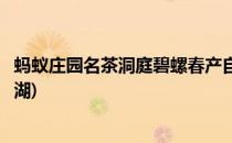 蚂蚁庄园名茶洞庭碧螺春产自哪里(十大名茶碧螺春产于哪个湖)