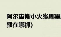 阿尔宙斯小火猴哪里抓(赛尔号星球大战小火猴在哪抓)