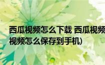 西瓜视频怎么下载 西瓜视频怎么保存到手机(西瓜视频里的视频怎么保存到手机)