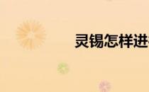灵锡怎样进行入锡申报