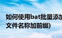 如何使用bat批量添加文件名前缀(bat批量给文件名称加前缀)