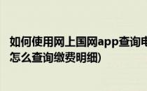 如何使用网上国网app查询电费使用账单(电网交电费app上怎么查询缴费明细)