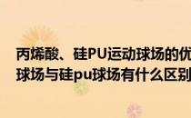 丙烯酸、硅PU运动球场的优点和多少钱一个平方米(丙烯酸球场与硅pu球场有什么区别)