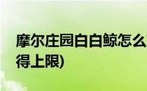 摩尔庄园白白鲸怎么获得(摩尔庄园白白鲸获得上限)