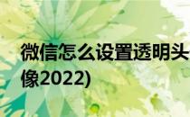 微信怎么设置透明头像(微信怎么设置透明头像2022)