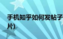 手机知乎如何发帖子(手机知乎如何发帖子图片)