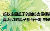 蚂蚁庄园瓜子的脂肪含量很高答案是什么(瓜子的脂肪含量很高,所以吃瓜子相当于喝油蚂蚁庄园)