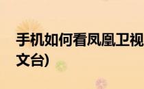手机如何看凤凰卫视(手机如何看凤凰卫视中文台)